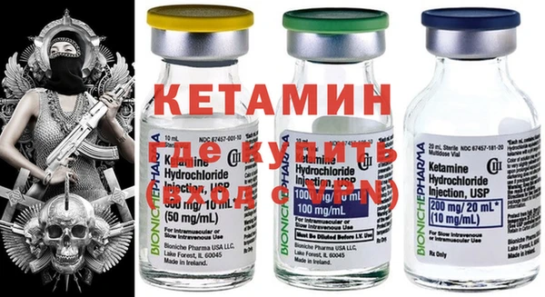 крисы Бородино