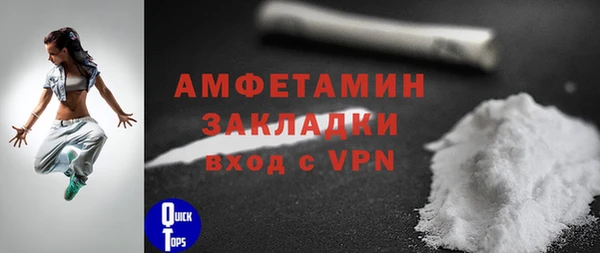 крисы Бородино