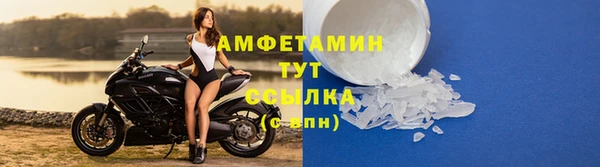 ПСИЛОЦИБИНОВЫЕ ГРИБЫ Няндома