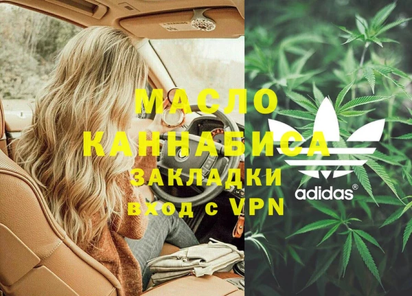 крисы Бородино