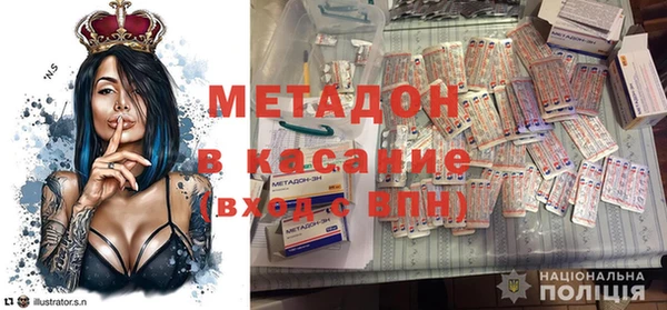 крисы Бородино