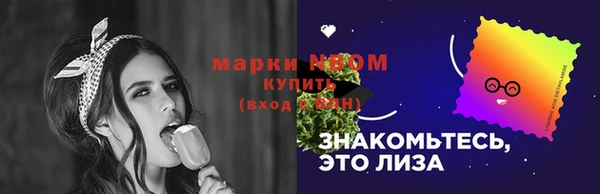 гидра Бронницы