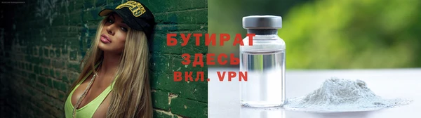крисы Бородино