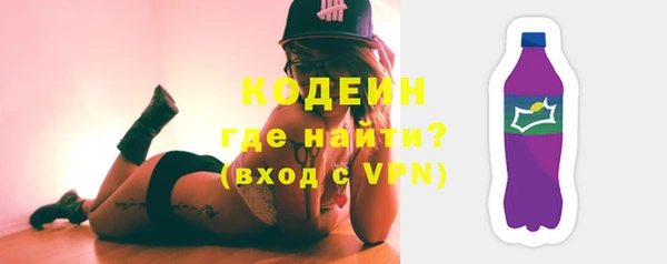 крисы Бородино