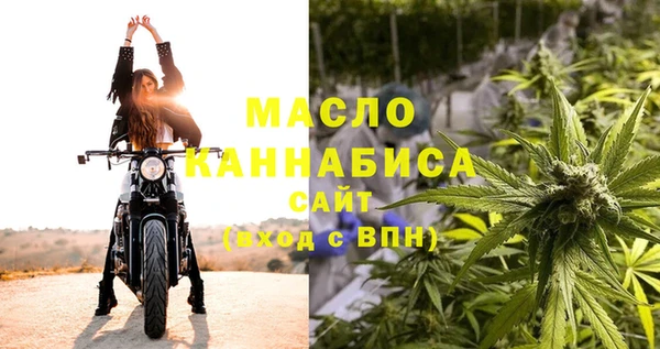 шишки Богородицк