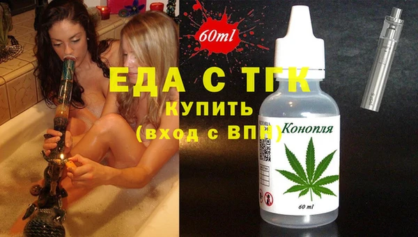 крисы Бородино