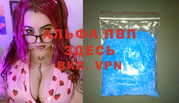 крисы Бородино