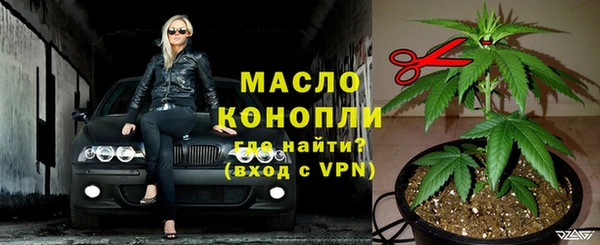 гидра Бронницы