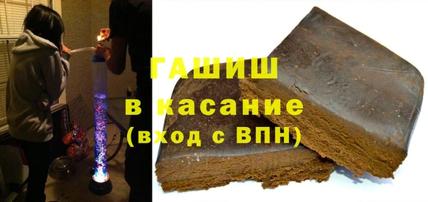 крисы Бородино