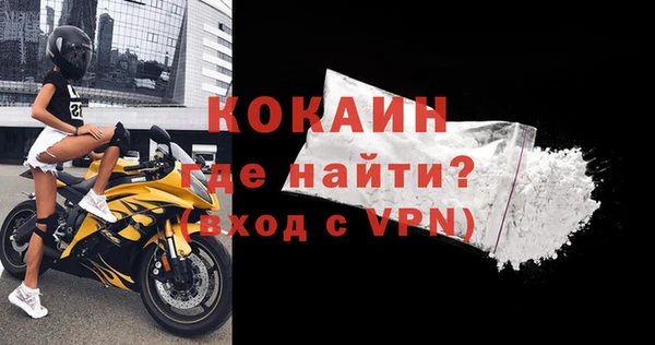крисы Бородино