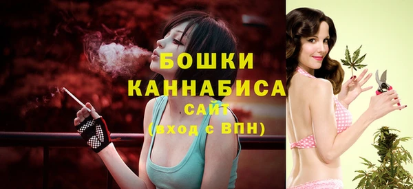 крисы Бородино